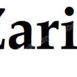 Zaria Watch Spare Parts Zaria Watch Spare Parts