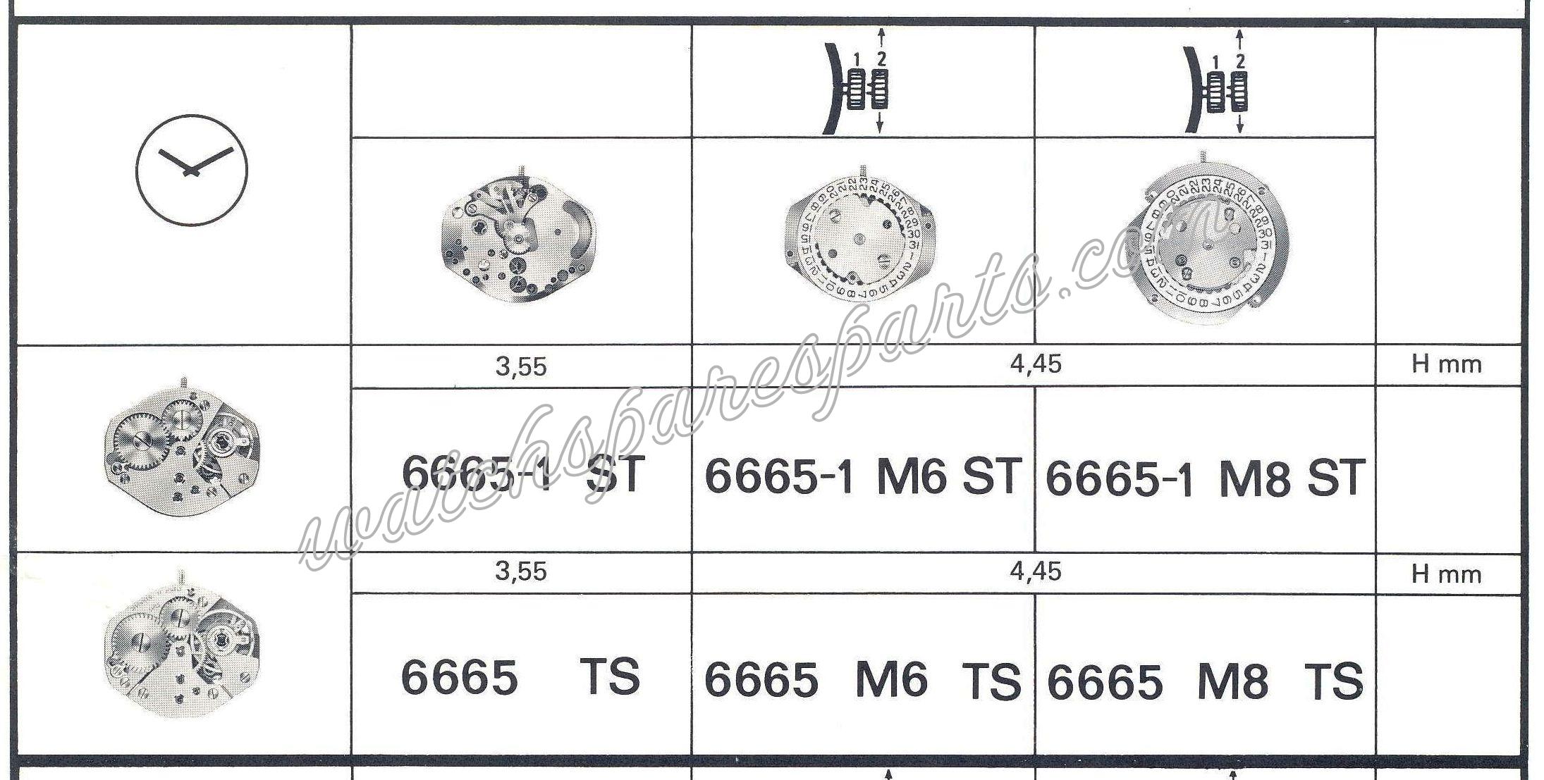 FEF Fleurier 6665.1.M6.ST Watch movements FEF Fleurier 6665.1.M6.ST Watch movements