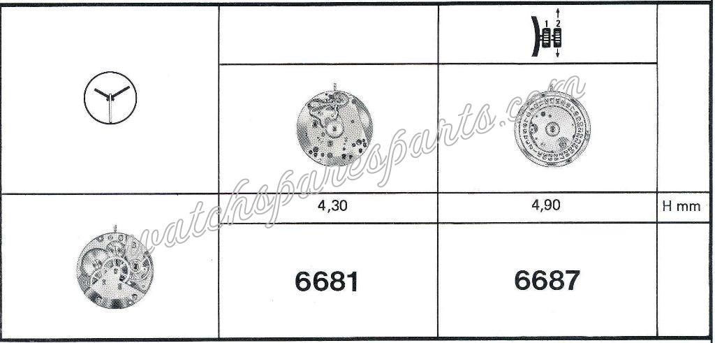 FEF Fleurier 6681 Watch movements FEF Fleurier 6681 Watch movements