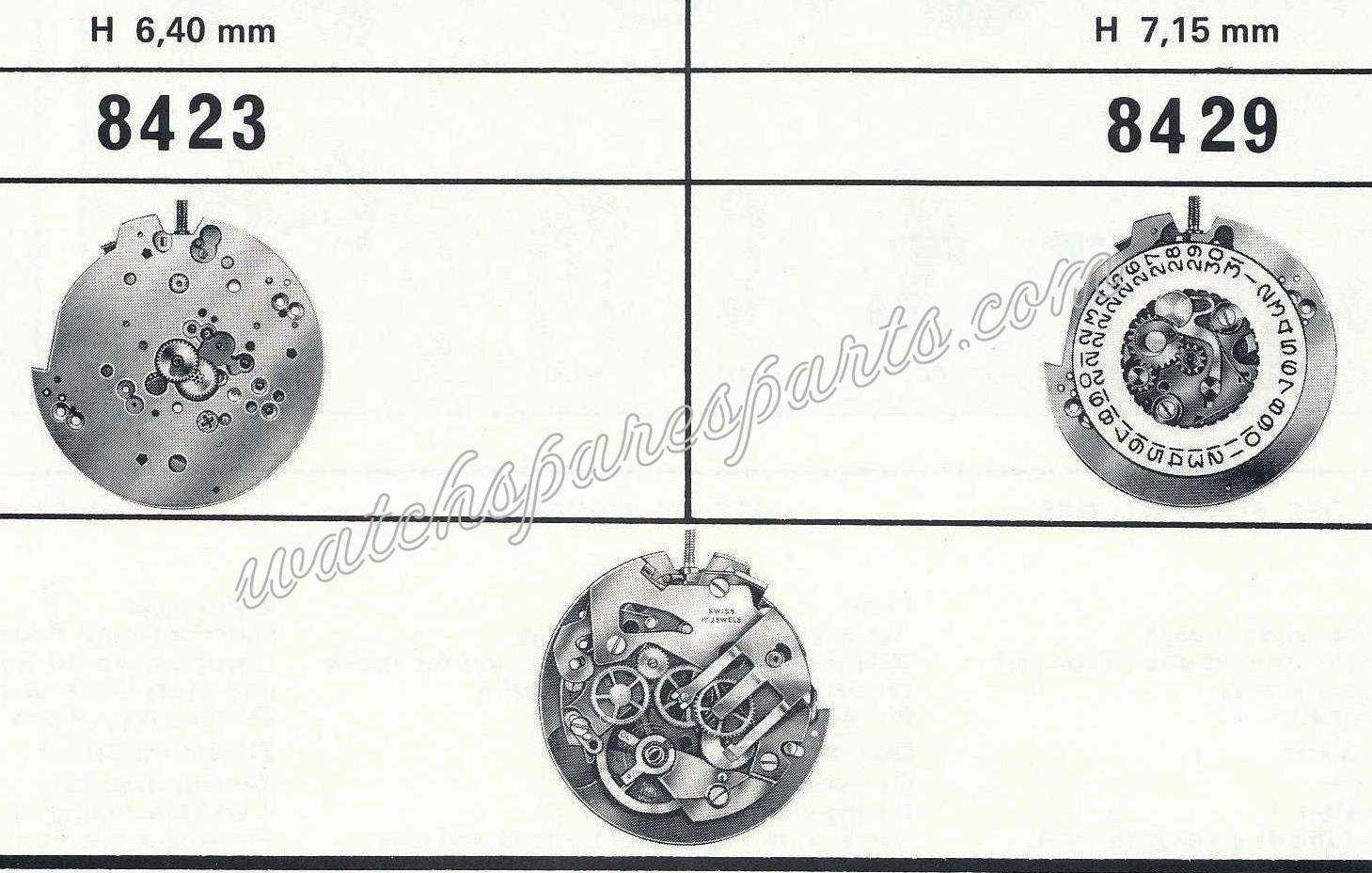 EB Bettlach 8429 Watch movements EB Bettlach 8429 Watch movements